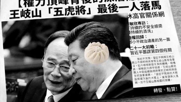王岐山曾经为习近平清除了许多政治对手(图片来源:网络截图)