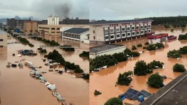 近日,广西遭遇洪灾,多个村镇被洪水围困多天。(图片来源:视频截图)