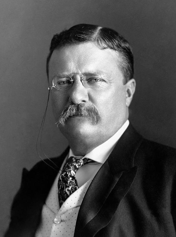 1904年，时任美国总统西奥多•罗斯福（Theodore Roosevelt）（公有领域）