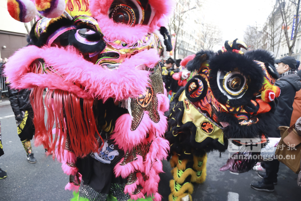 巴黎13区新年大游行(图组5)