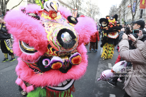巴黎13区新年大游行(图组5)